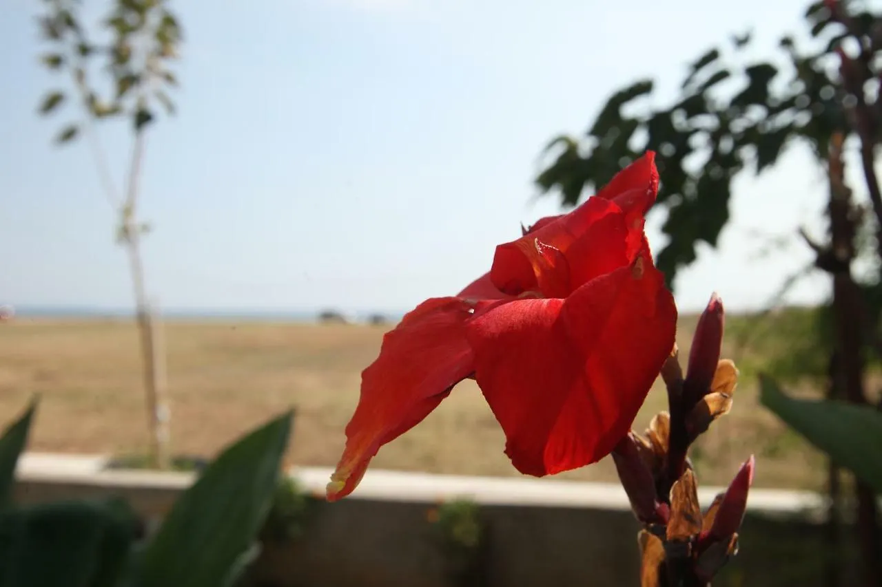 See To Sea Apartments Paralia Dionysiou